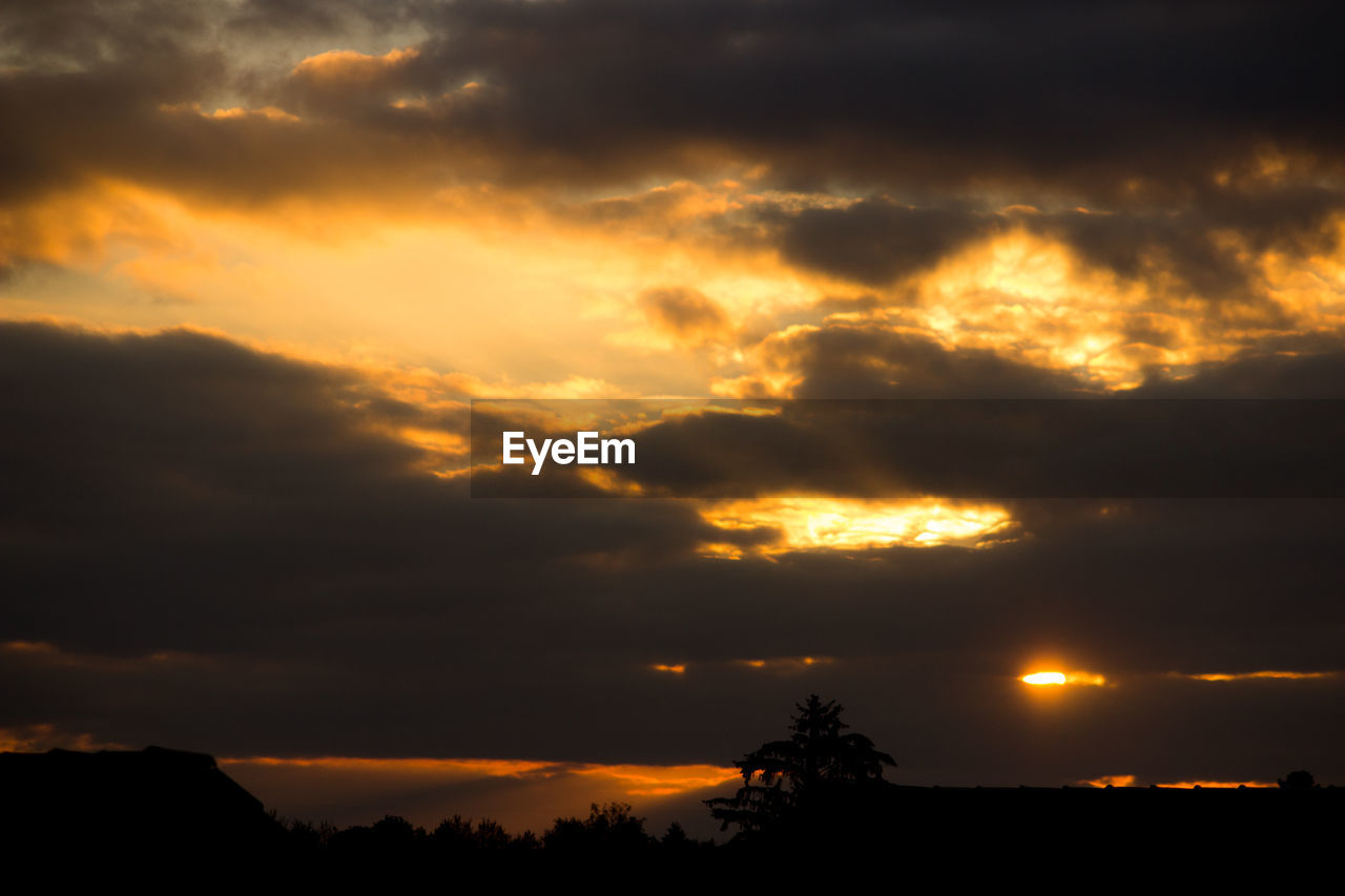 Low angle view of silhouette trees against orange sky