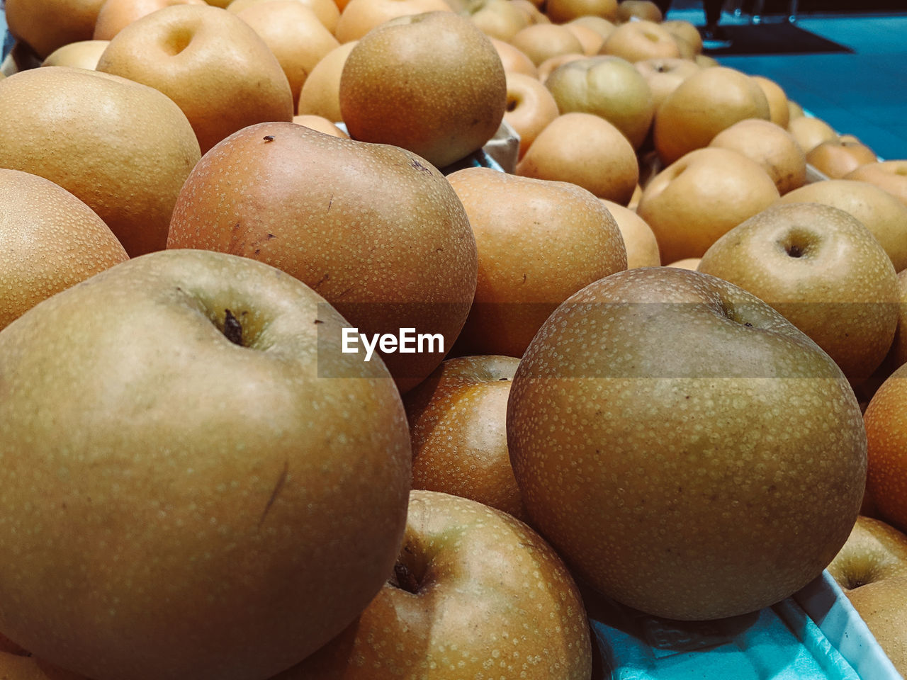 CLOSE-UP OF APPLES IN MARKET