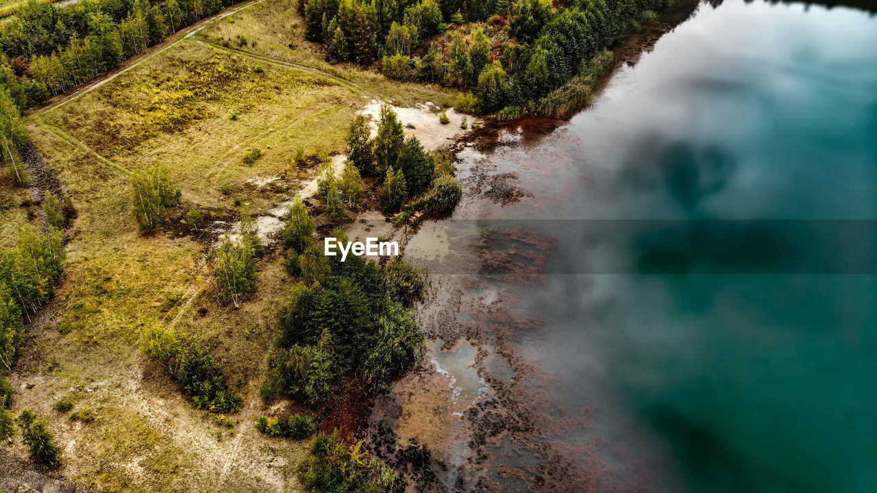 HIGH ANGLE VIEW OF TREES AND SEA SHORE