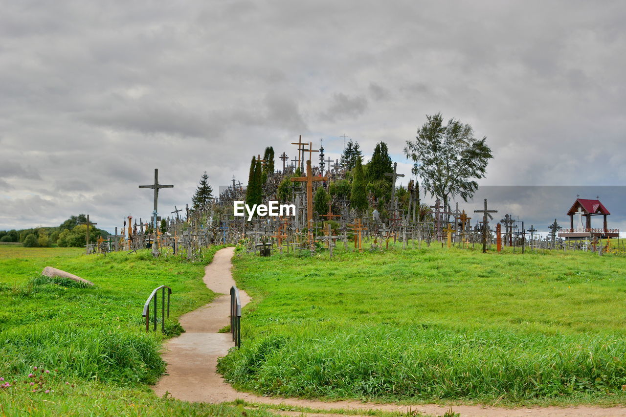 TREES ON GRASSY FIELD AGAINST CLOUDY SKY