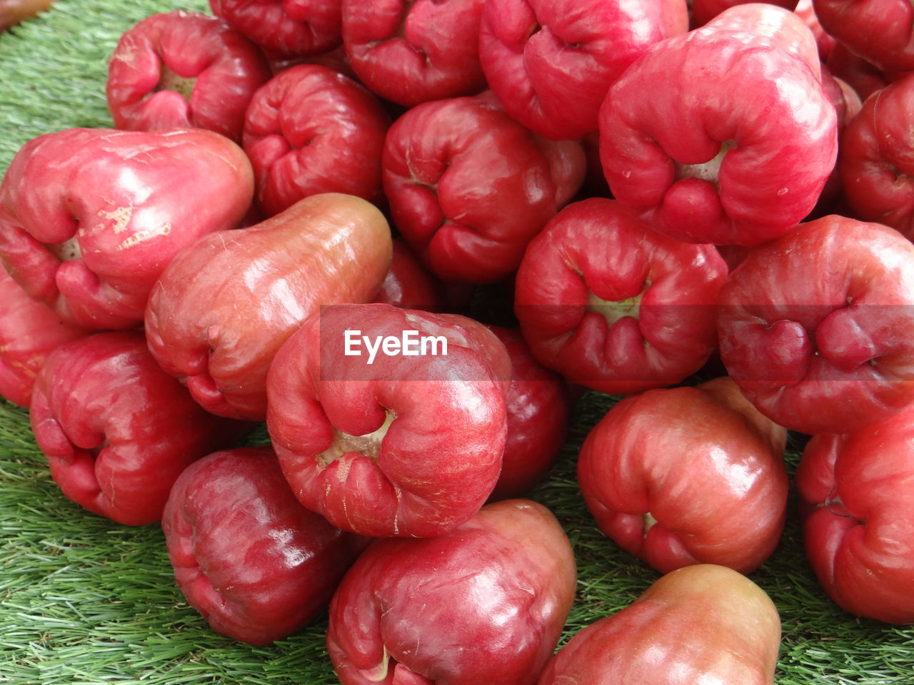 Full frame shot of water apple
