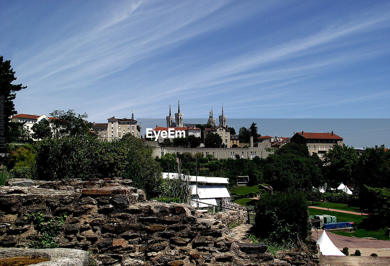 TREES AND BUILDINGS AGAINST SKY