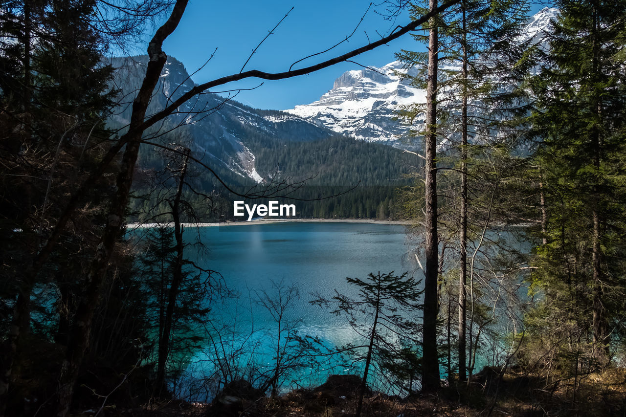 Scenic view of lake by trees against sky