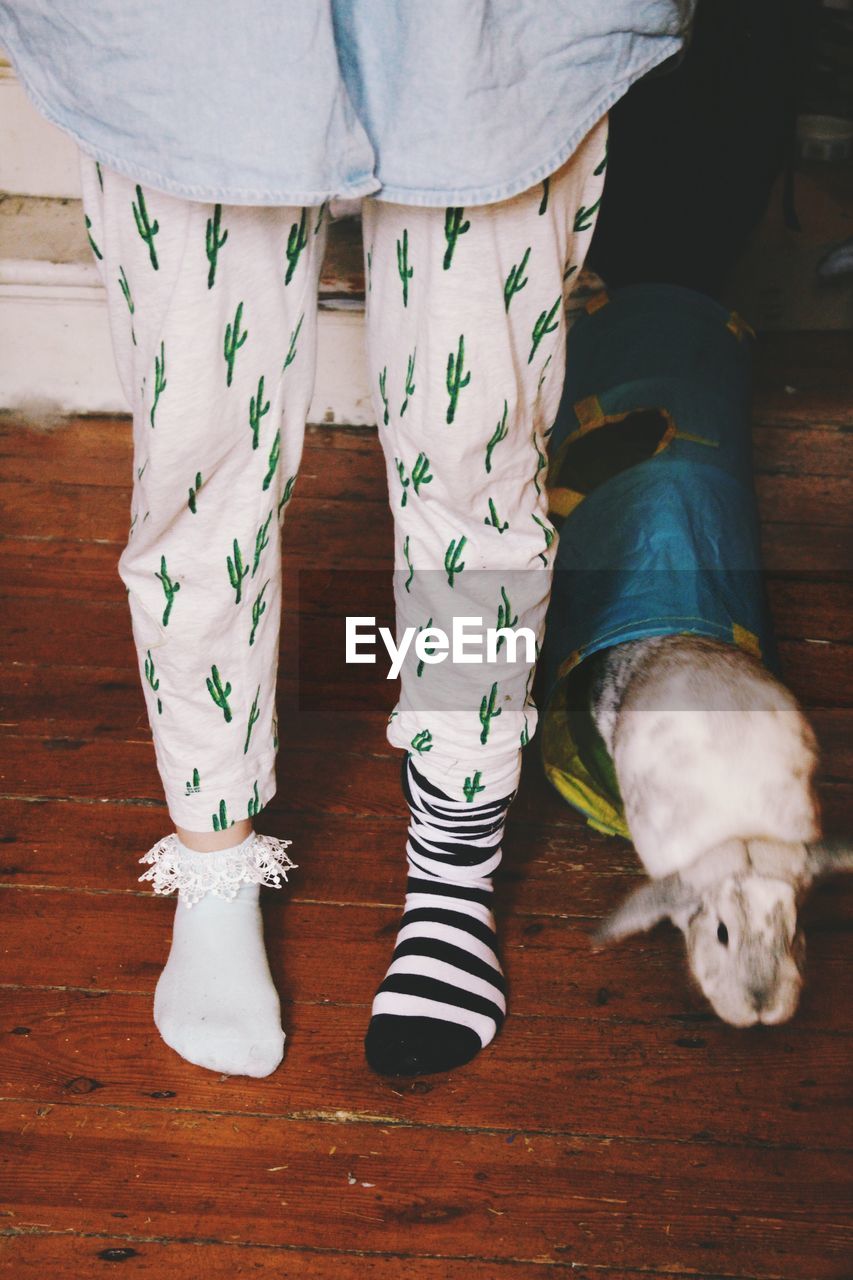 Low section of person wearing socks while standing by rabbit on hardwood floor