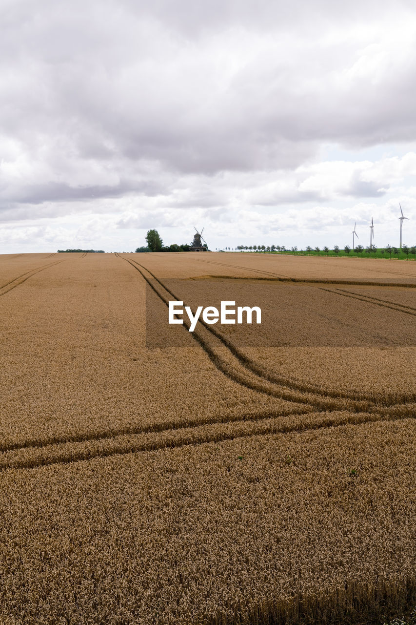 environment, landscape, land, field, sky, cloud, soil, plain, nature, agriculture, horizon, rural scene, prairie, crop, scenics - nature, plant, grassland, beauty in nature, day, cereal plant, outdoors, no people, farm, overcast, rural area, tranquility, cloudscape, steppe, tranquil scene, non-urban scene, growth, transportation, dramatic sky, horizon over land