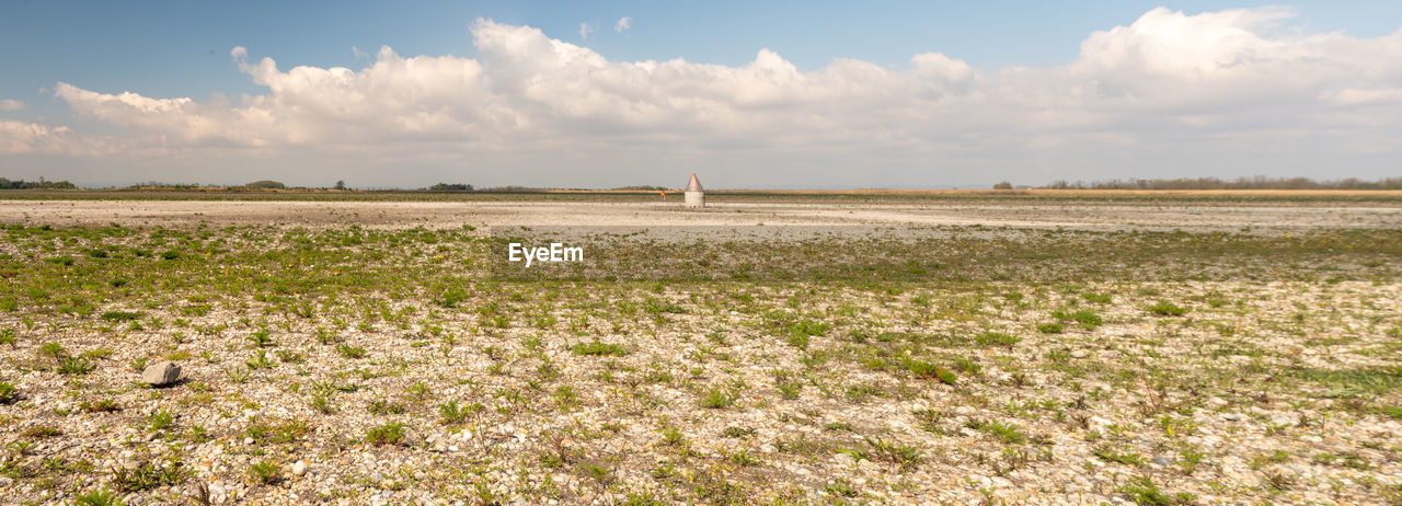 sky, landscape, horizon, environment, natural environment, land, field, agriculture, nature, plant, prairie, grass, plain, cloud, rural scene, wetland, rural area, marsh, grassland, crop, scenics - nature, beauty in nature, steppe, day, tranquility, environmental conservation, no people, food, flower, outdoors, social issues, farm, water, tranquil scene, travel, summer, blue, sunlight, food and drink, distant, shore, horizon over land, growth, non-urban scene, travel destinations, meadow