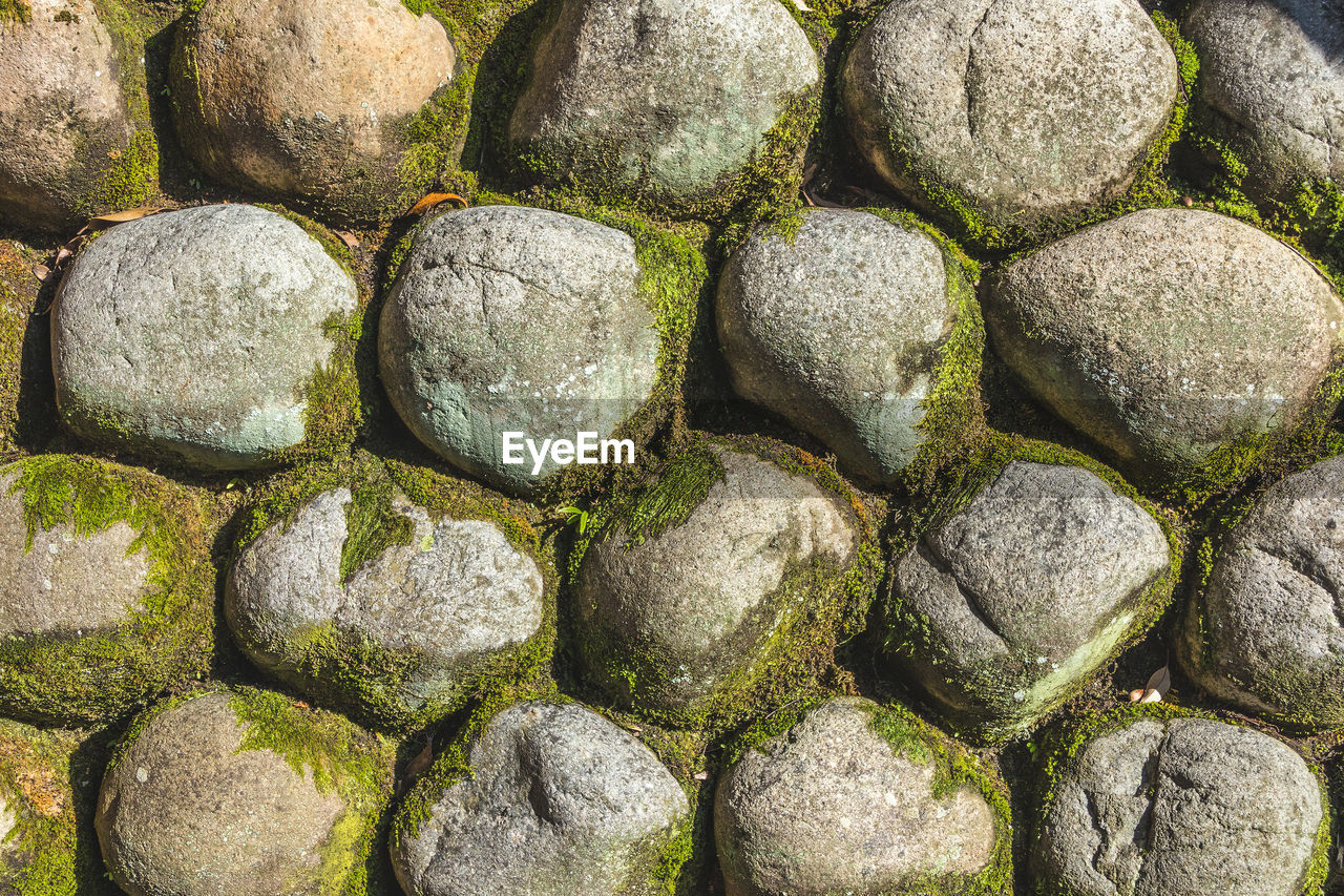 Full frame shot of moss on stones