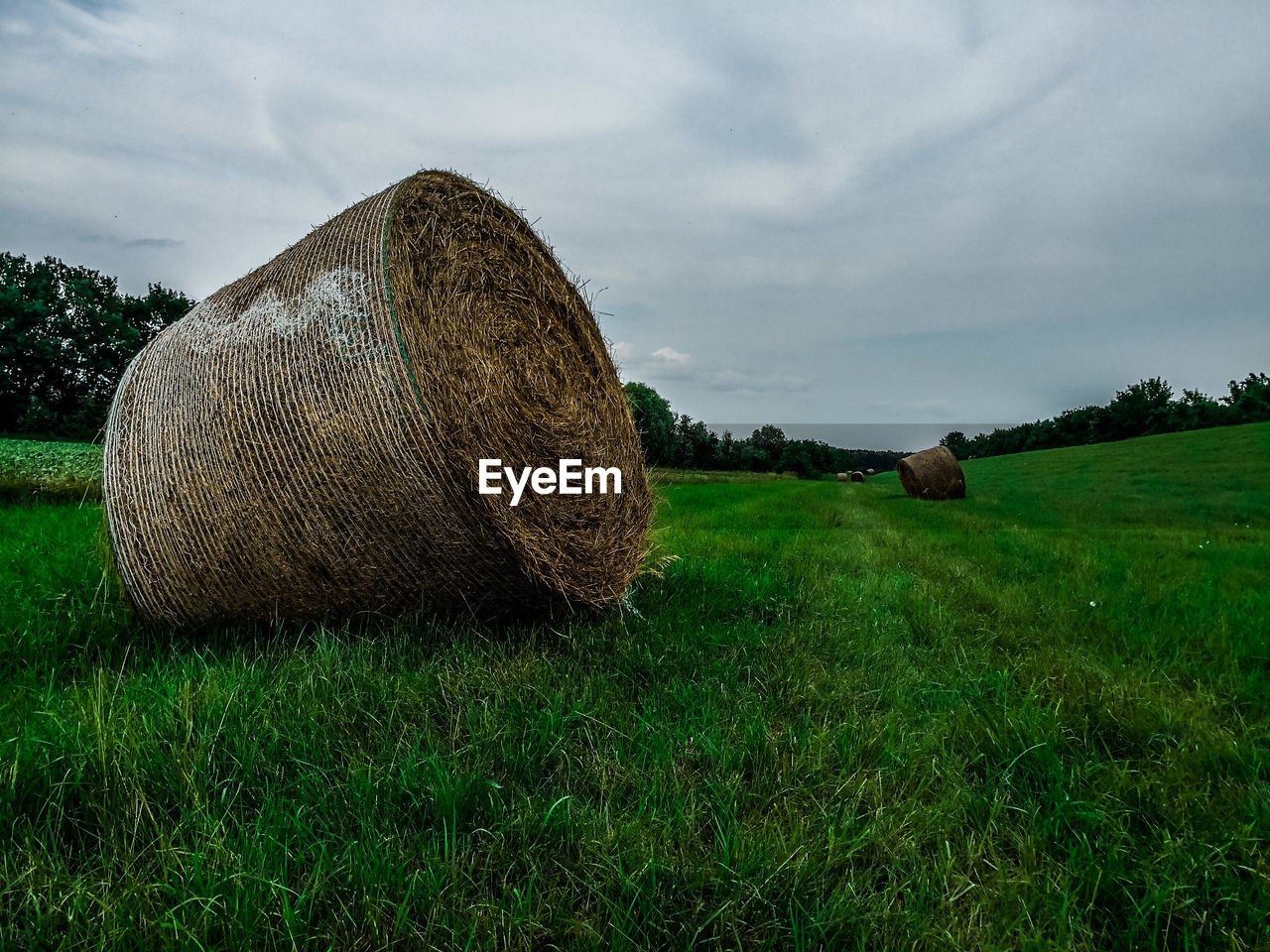 Hay bales on field against sky