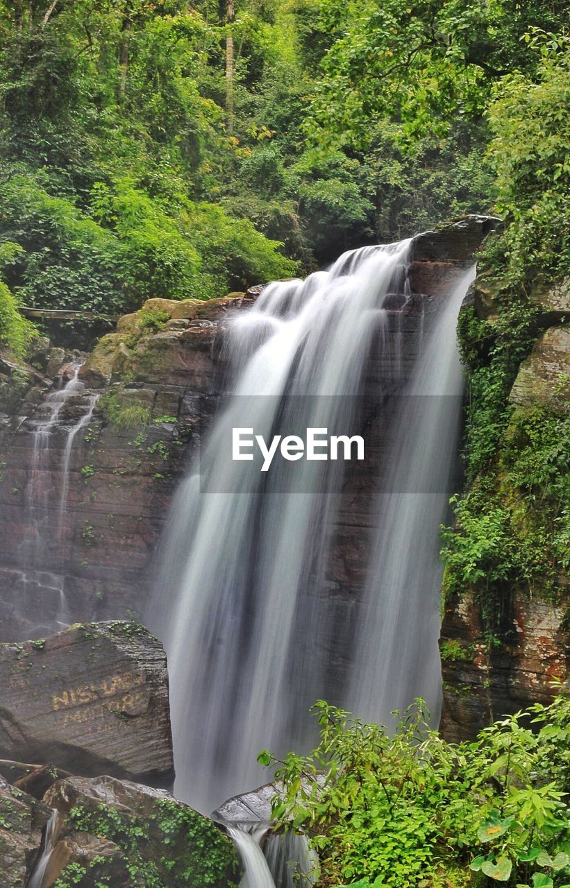 WATERFALL IN FOREST