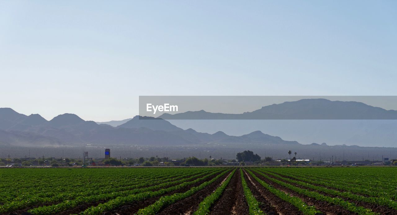 SCENIC VIEW OF FARM AGAINST SKY