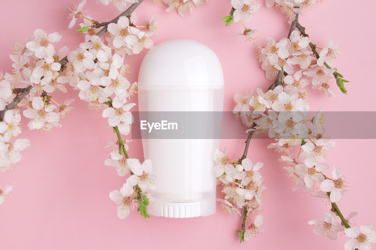 pink, plant, flower, flowering plant, freshness, petal, nature, fragility, lilac, beauty in nature, tree, blossom, no people, cherry blossom, springtime, growth, pink background, pastel colored, branch, studio shot, spring, indoors, still life, white, colored background, food and drink, close-up, food, decoration