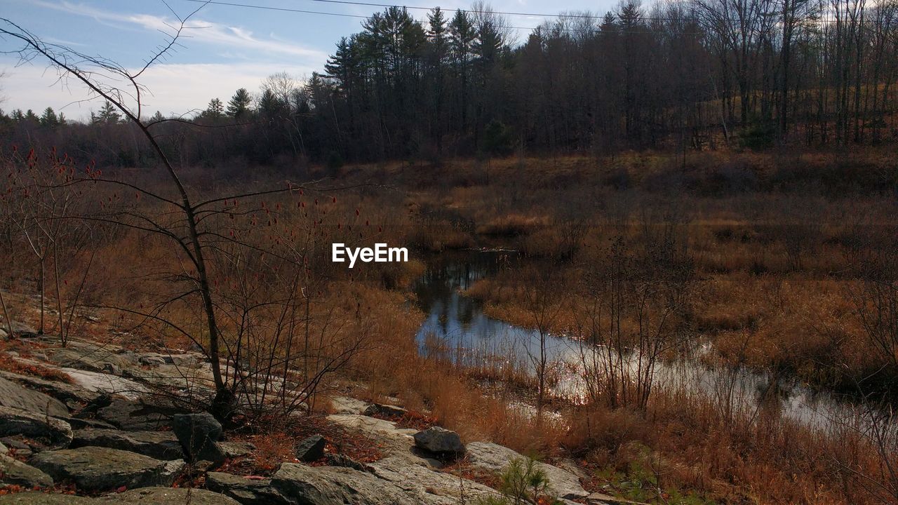 Scenic view of river against sky