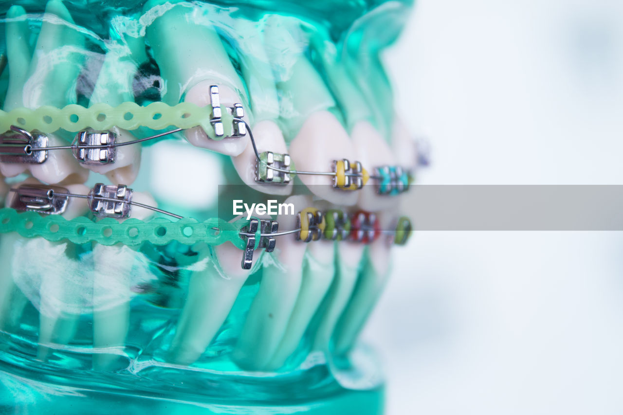 Close-up of artificial teeth