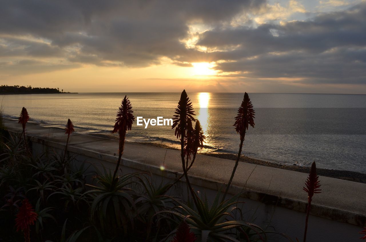 SCENIC VIEW OF SEA DURING SUNSET