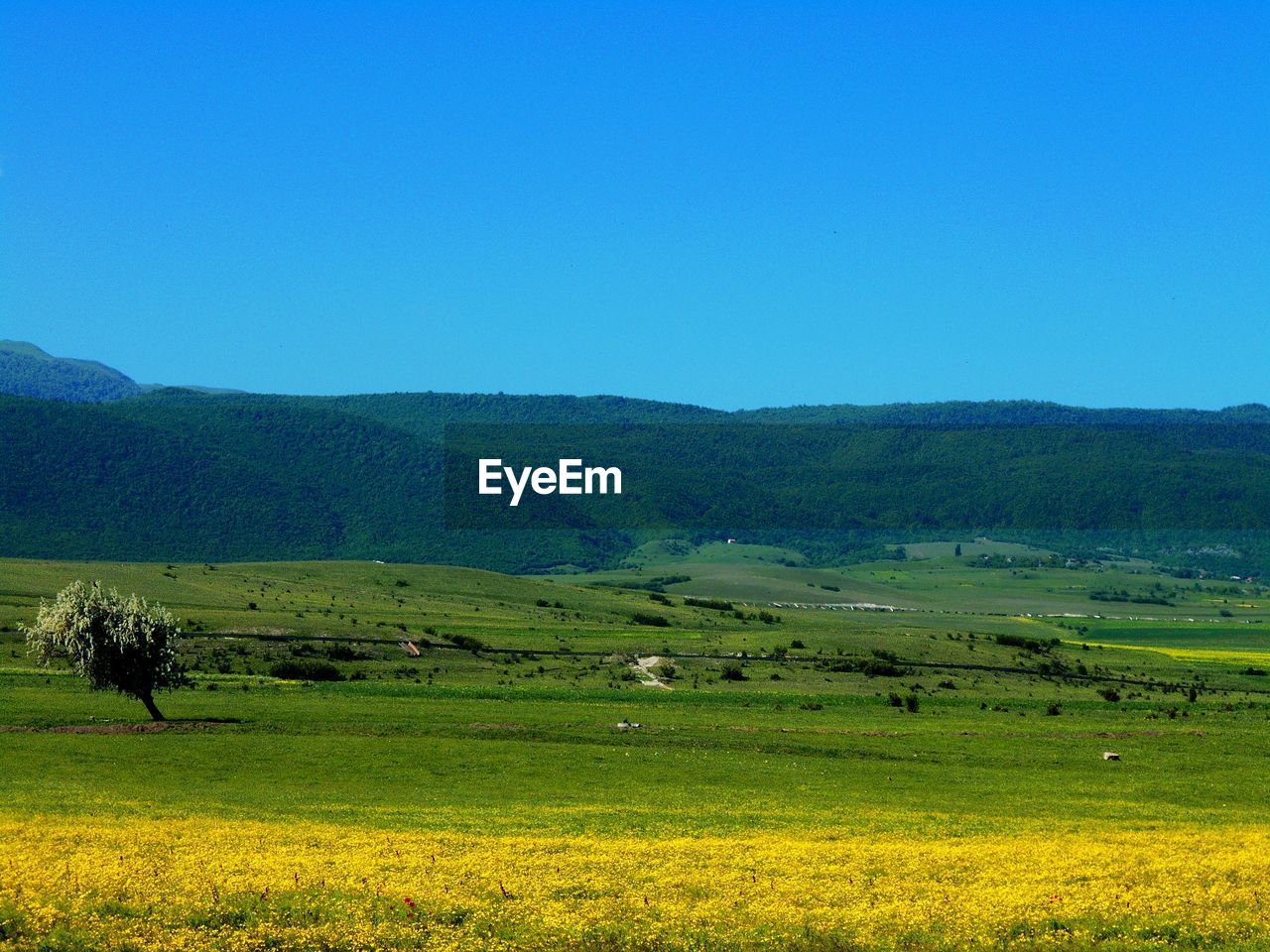 SCENIC VIEW OF LANDSCAPE AGAINST CLEAR BLUE SKY