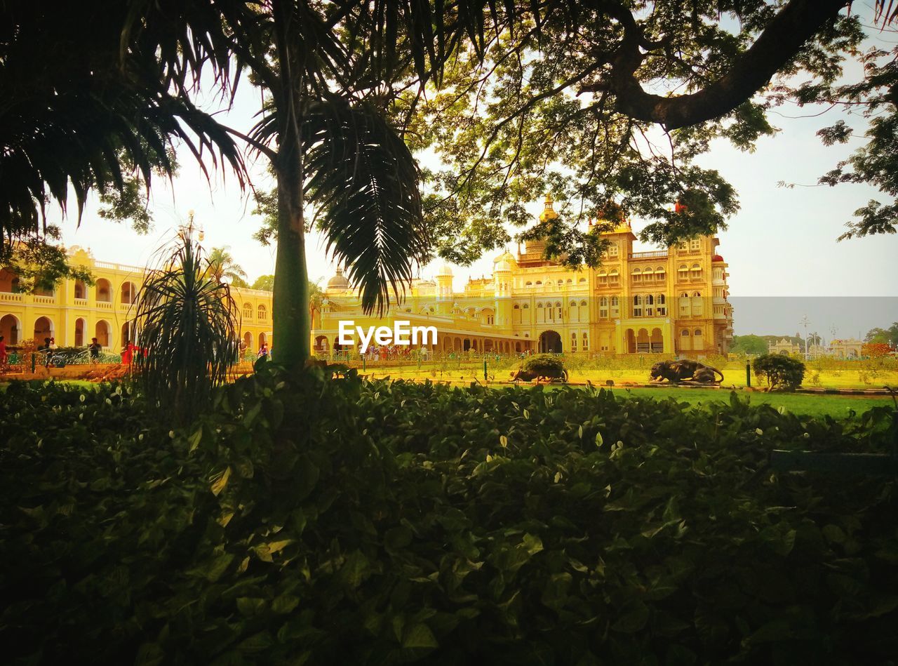 TREES IN FRONT OF HISTORIC BUILDING