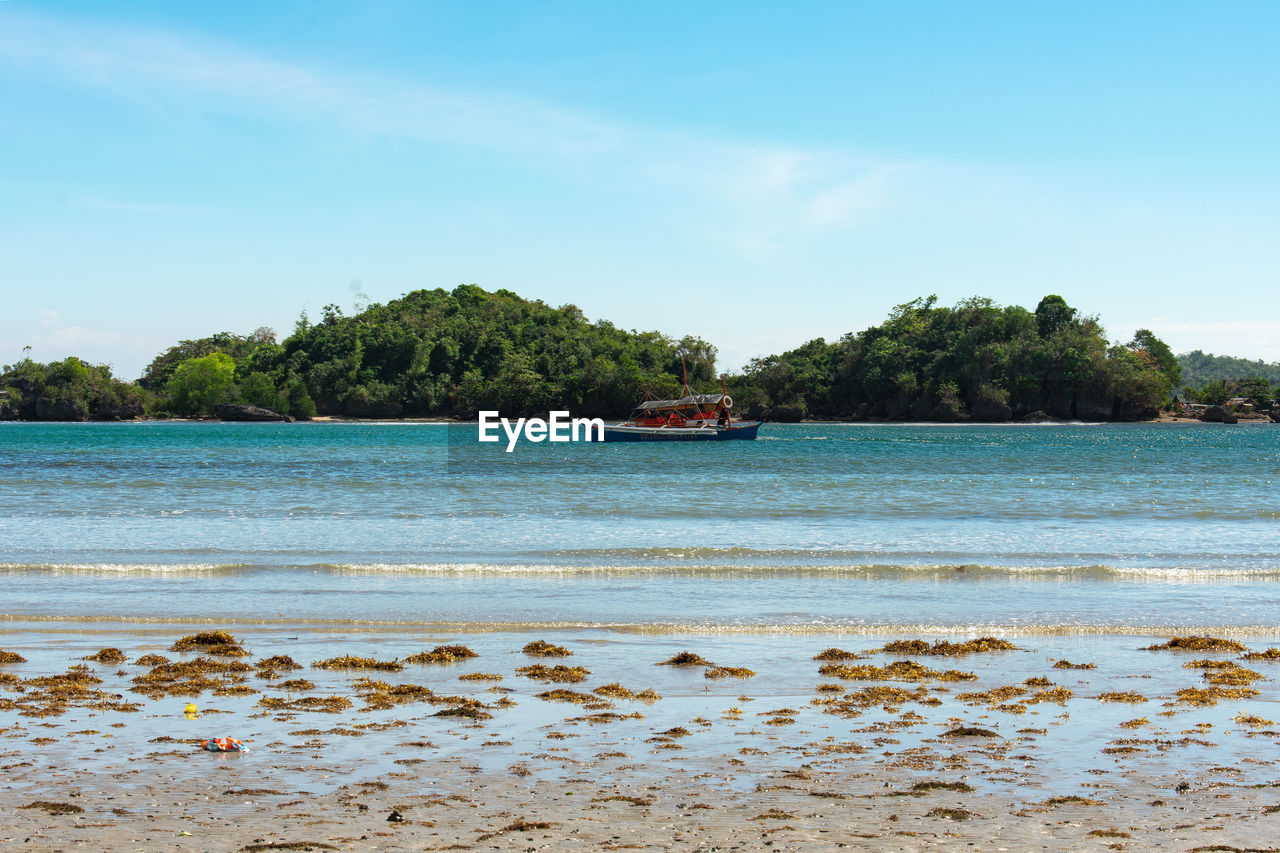 SCENIC VIEW OF SEA AGAINST TREES