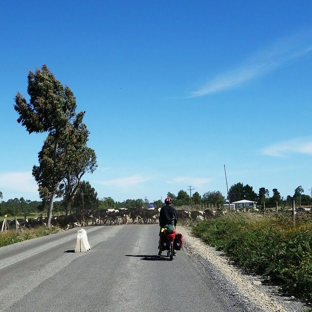 WOMAN WALKING ON ROAD