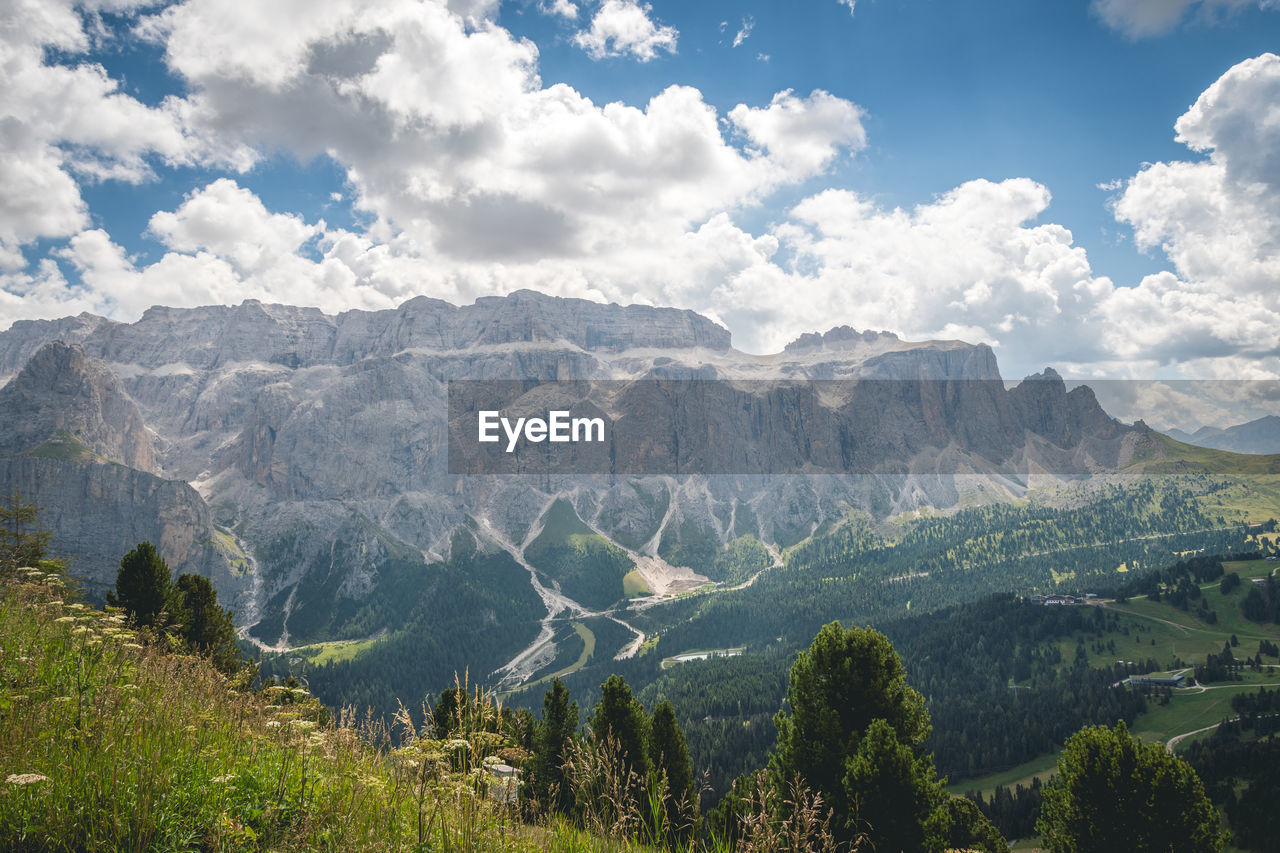 mountain, environment, landscape, scenics - nature, nature, sky, cloud, beauty in nature, mountain range, land, plant, tree, travel, travel destinations, forest, wilderness, pinaceae, valley, pine tree, no people, coniferous tree, tranquility, tourism, non-urban scene, outdoors, tranquil scene, pine woodland, meadow, plateau, social issues, mountain peak, environmental conservation, panoramic, day, grass, ridge, vacation, summer, trip, activity, mountain pass, rural scene, holiday, blue, idyllic, rock, green, sunlight, field, leisure activity