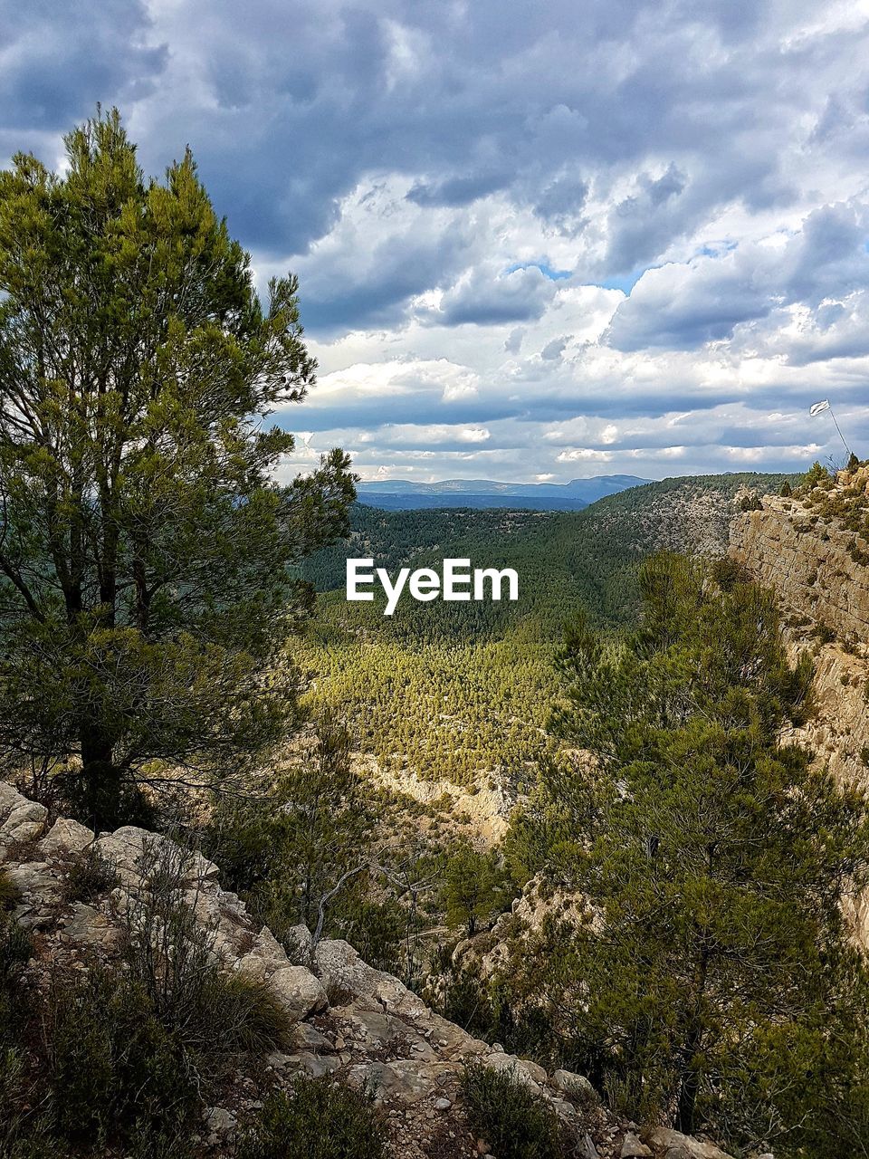 TREES ON LANDSCAPE AGAINST CLOUDY SKY