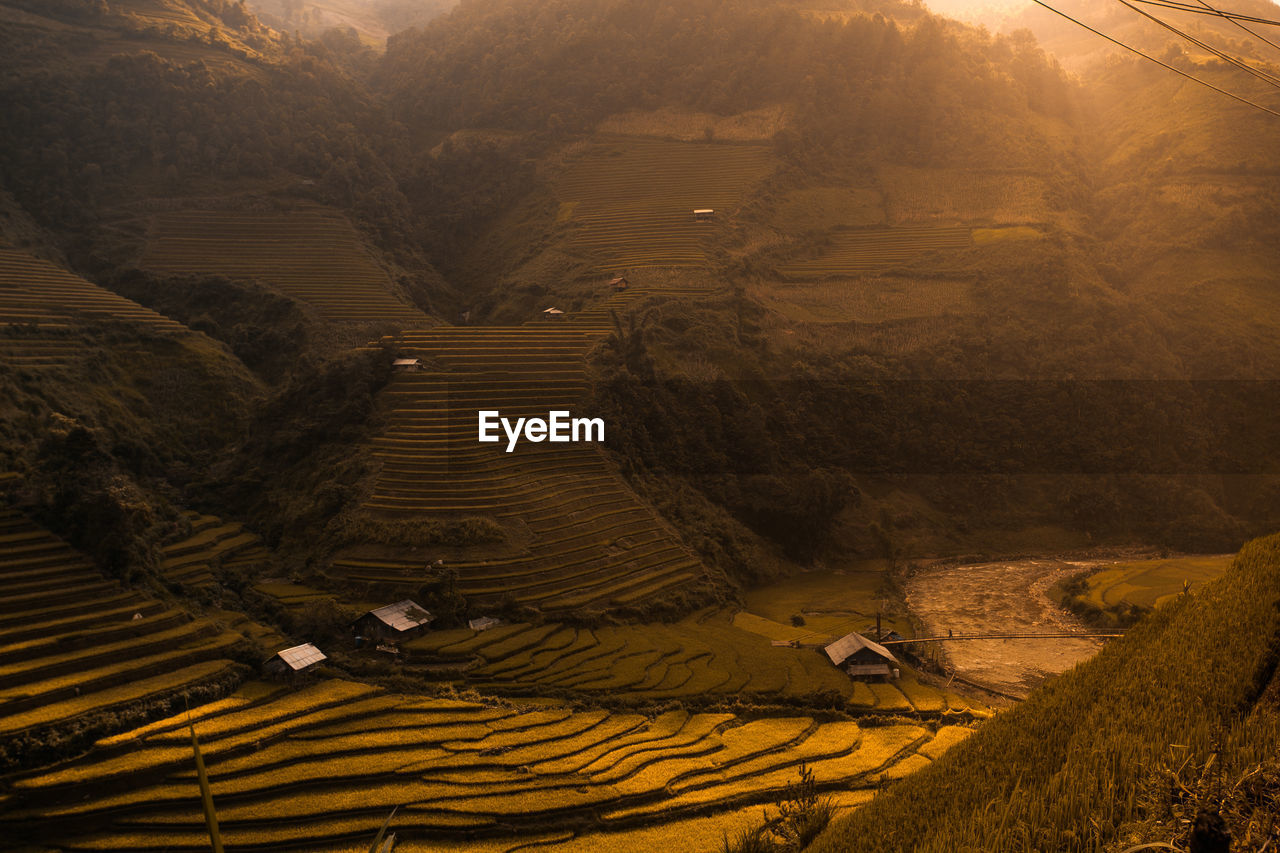 High angle view of agricultural field