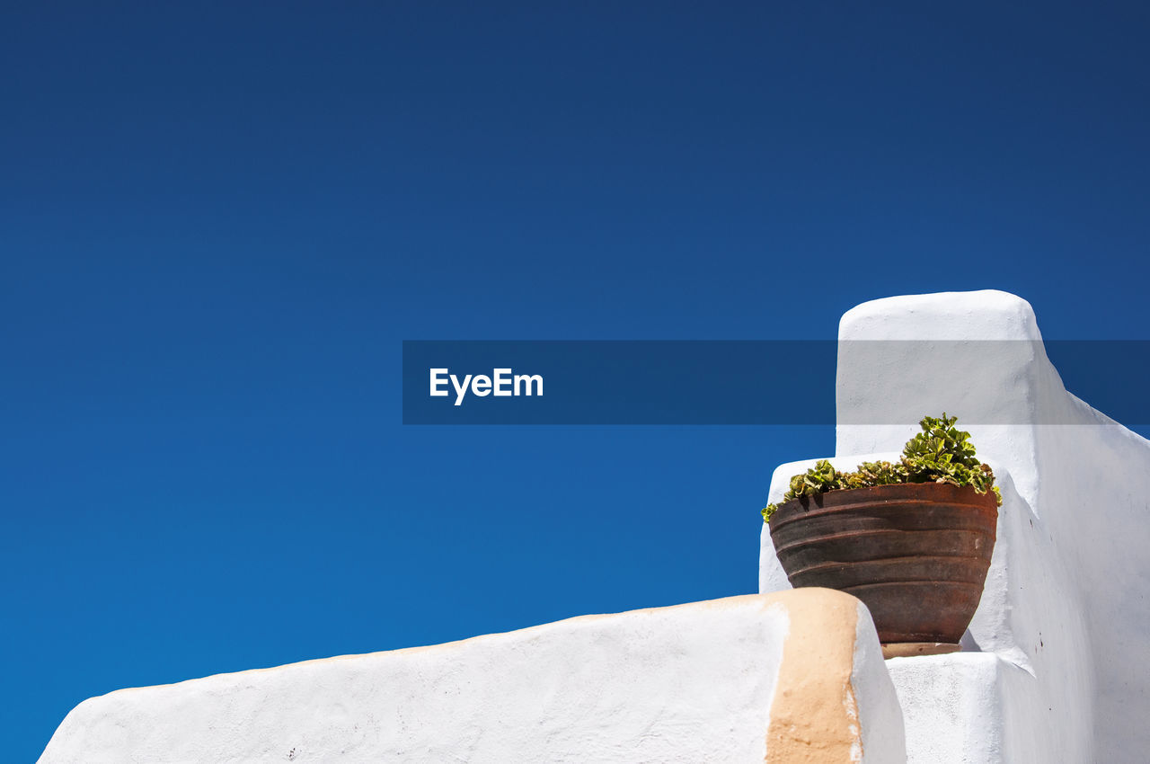 Low angle view of potted plant on wall against clear blue sky