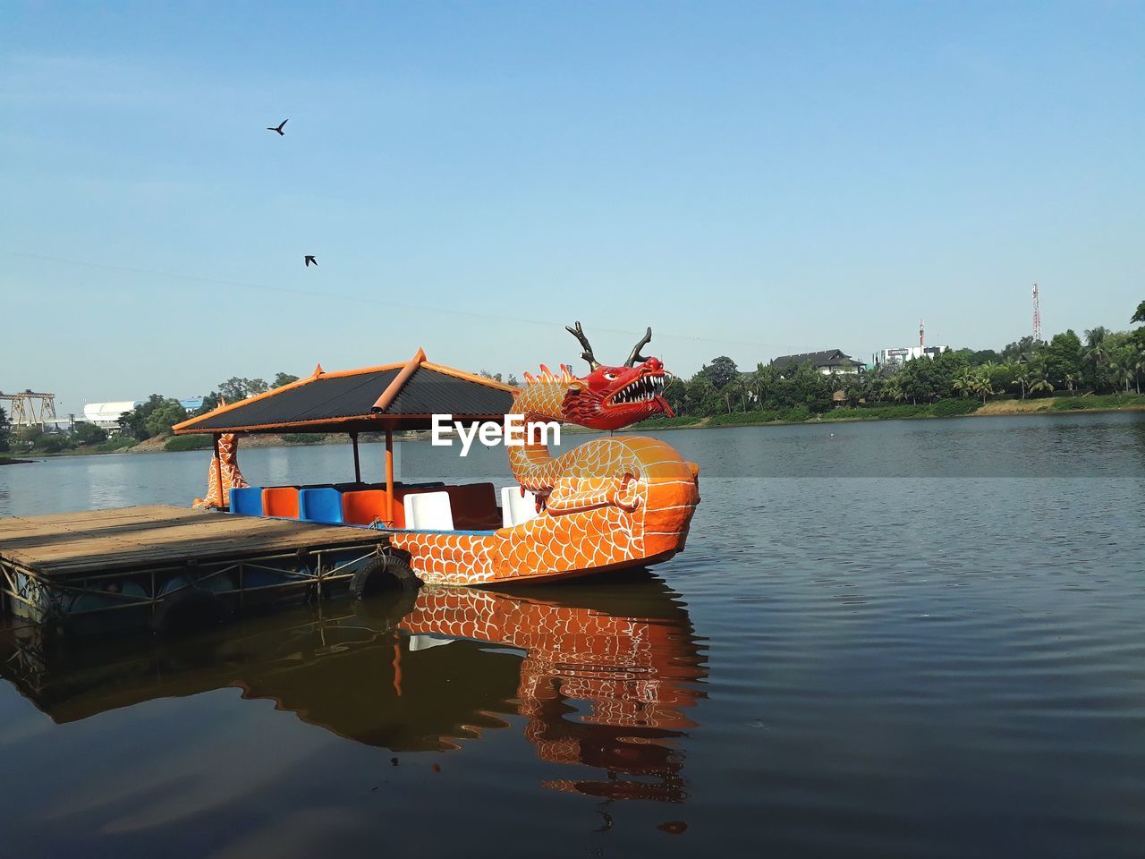 VIEW OF BIRDS IN LAKE