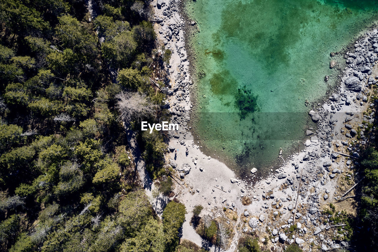 High angle view of trees on beach