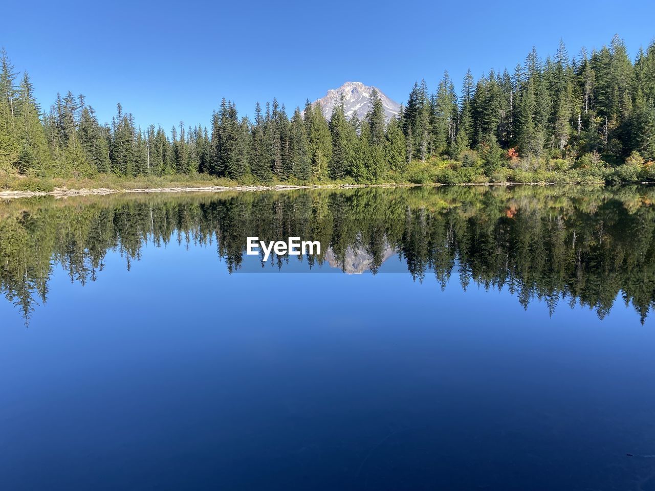 reflection, water, tree, lake, plant, scenics - nature, beauty in nature, wilderness, tranquility, sky, tranquil scene, nature, body of water, forest, blue, no people, pine tree, coniferous tree, land, non-urban scene, clear sky, pinaceae, landscape, reservoir, pine woodland, mountain, day, environment, travel destinations, outdoors, idyllic, woodland, travel, autumn, standing water