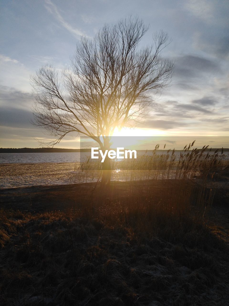 Scenic view of field against sky during sunset