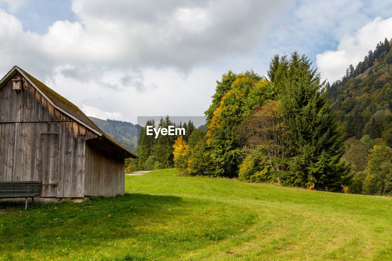 Landscape with green meadow, multi colored trees, cottage in black forest