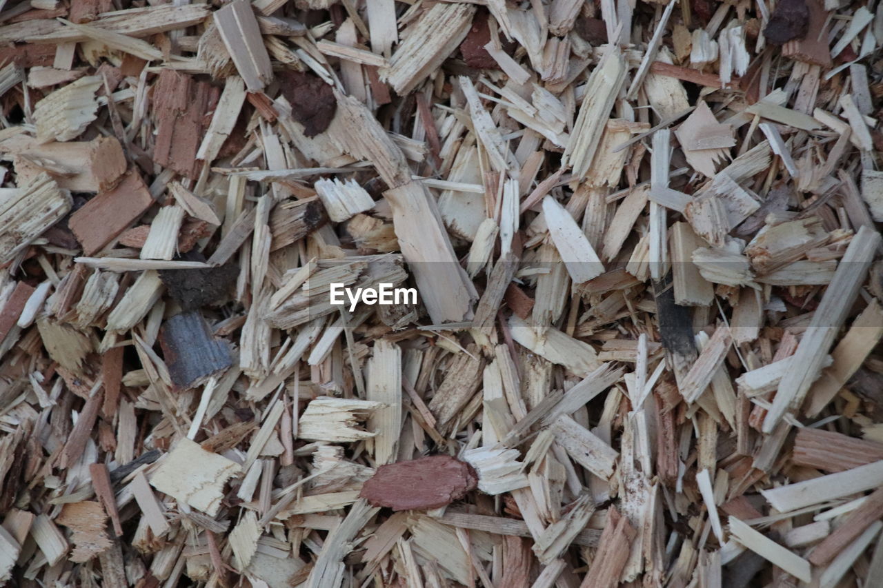 FULL FRAME SHOT OF DRY WOOD IN NEST