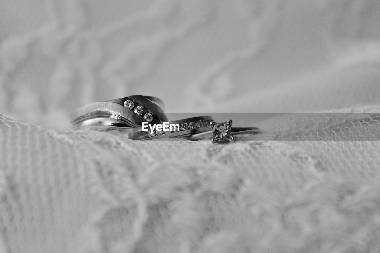 Wedding rings kept on veil