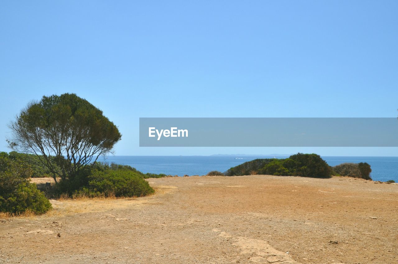 Scenic view of beach against clear sky