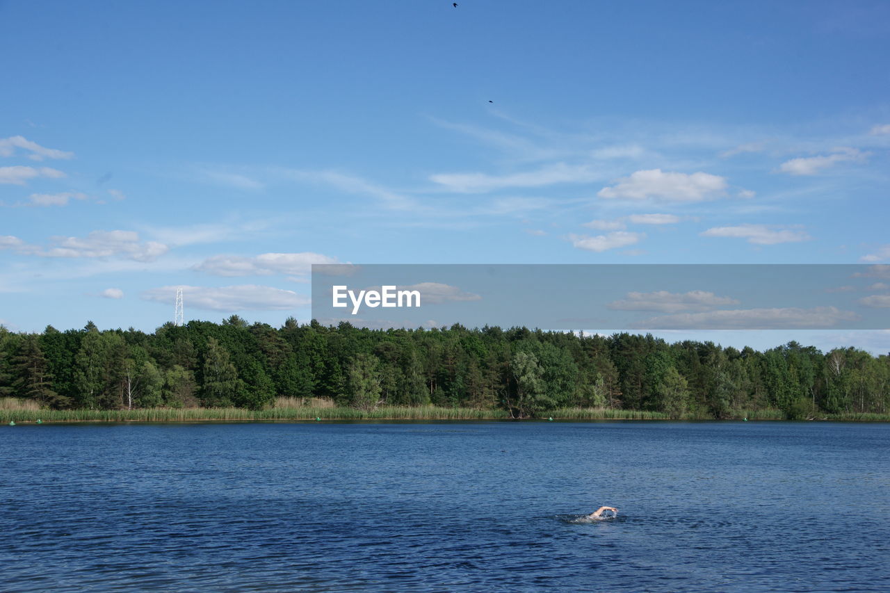 Scenic view of trees and flughafensee lake against sky