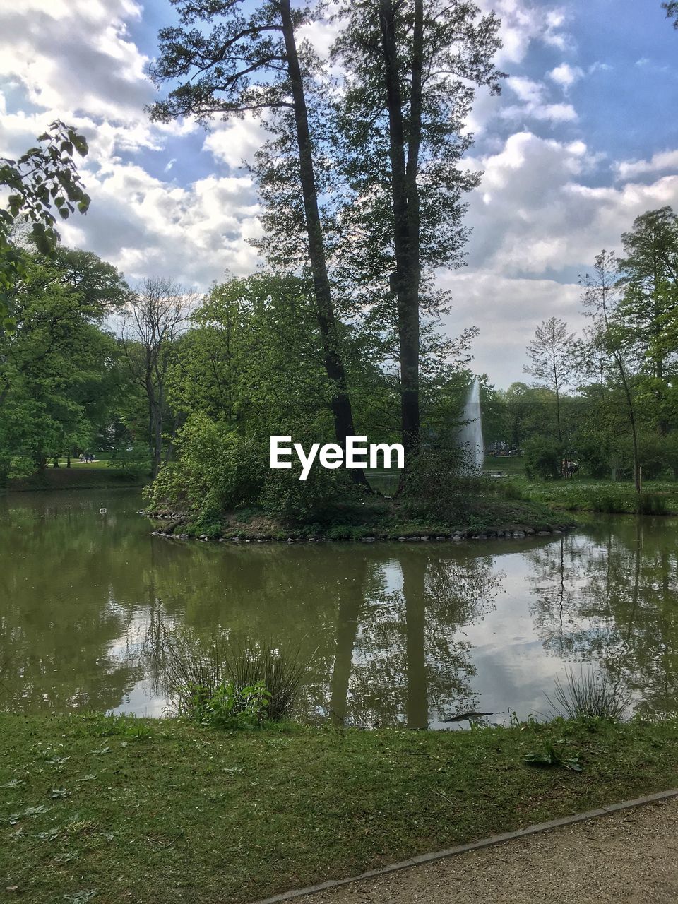 TREES BY LAKE AGAINST SKY