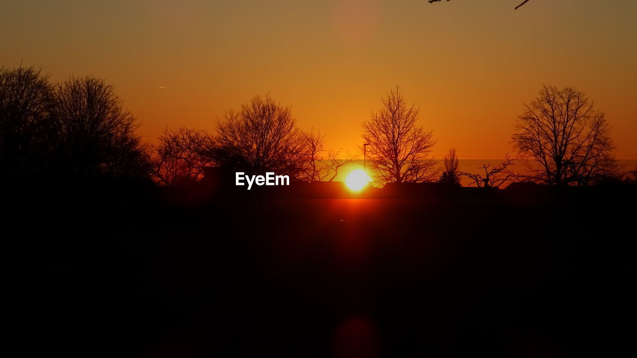 SILHOUETTE BARE TREES AGAINST ORANGE SKY