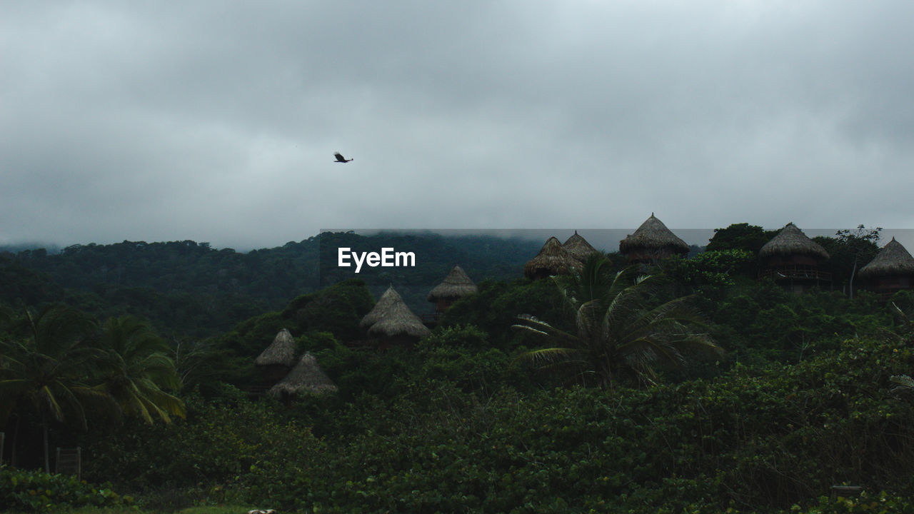 Huts in forest against cloudy sky