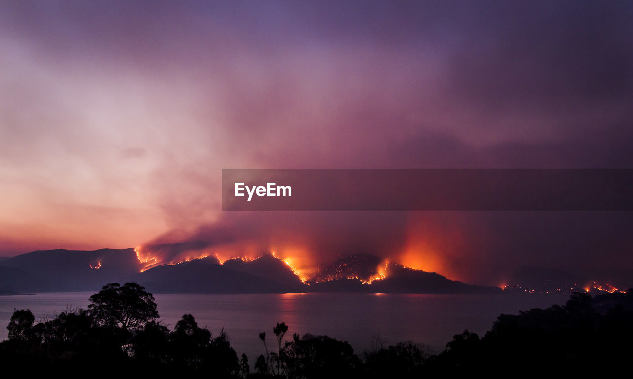 High angle view of forest fire