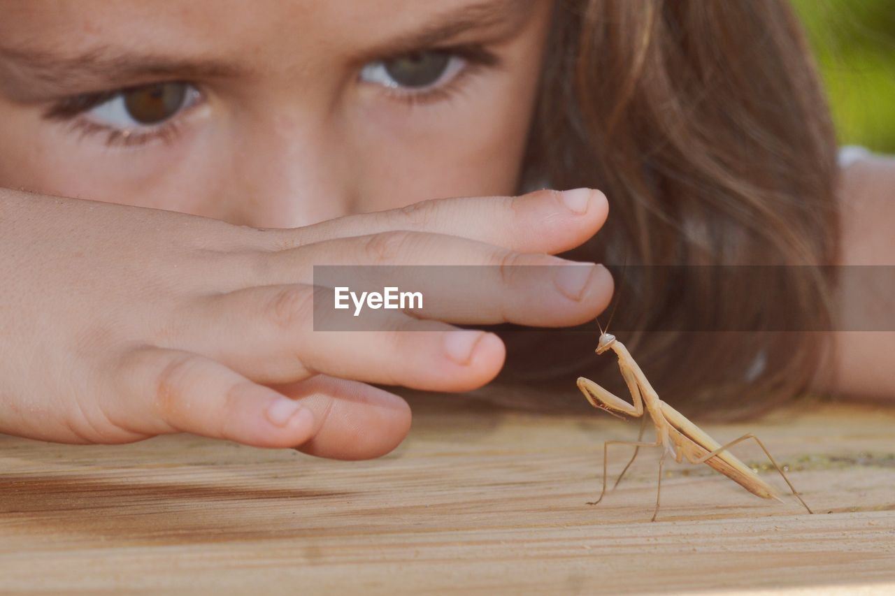 Close-up of girl touching praying mantis on wooden table