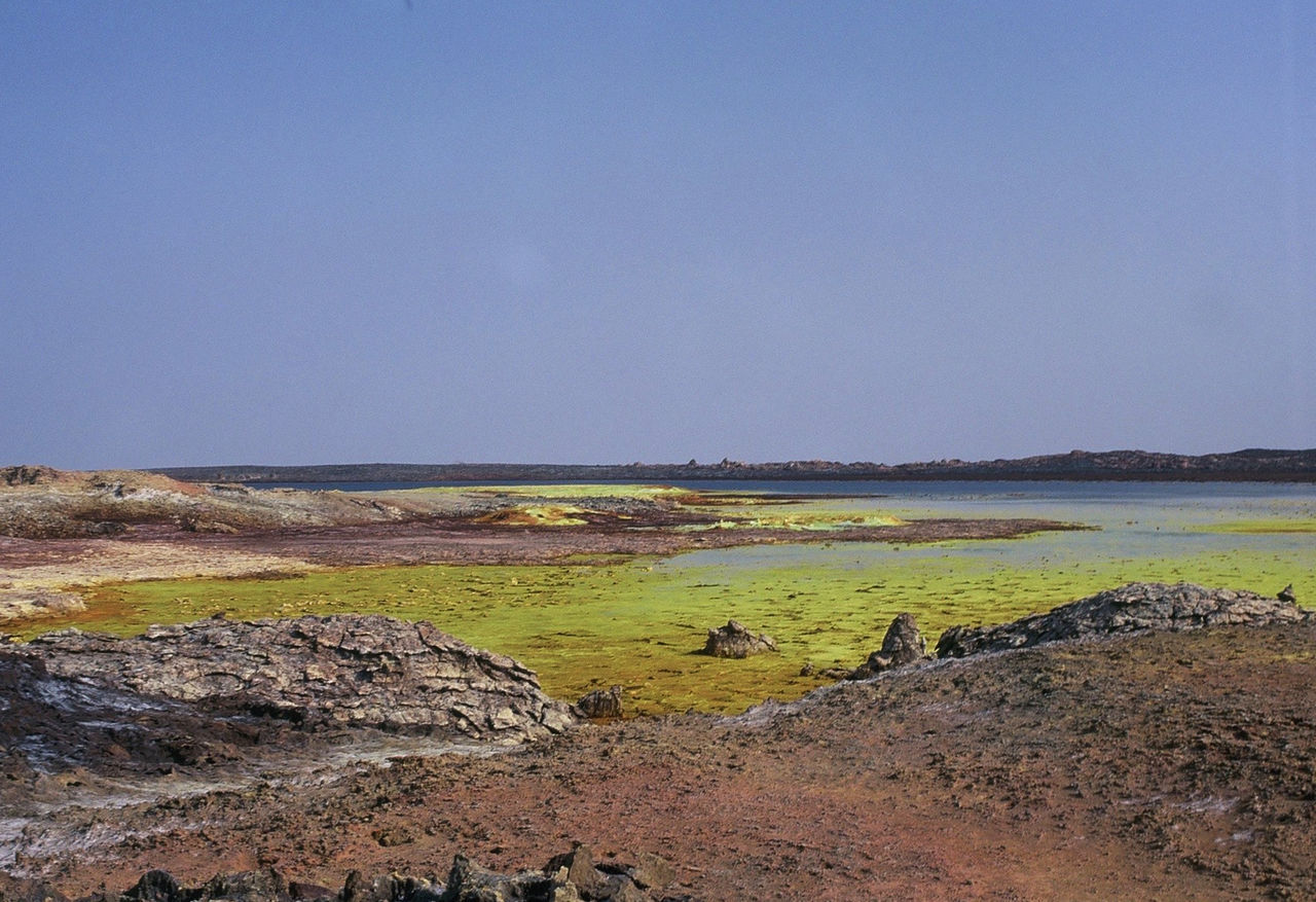 Scenic view of landscape against clear sky