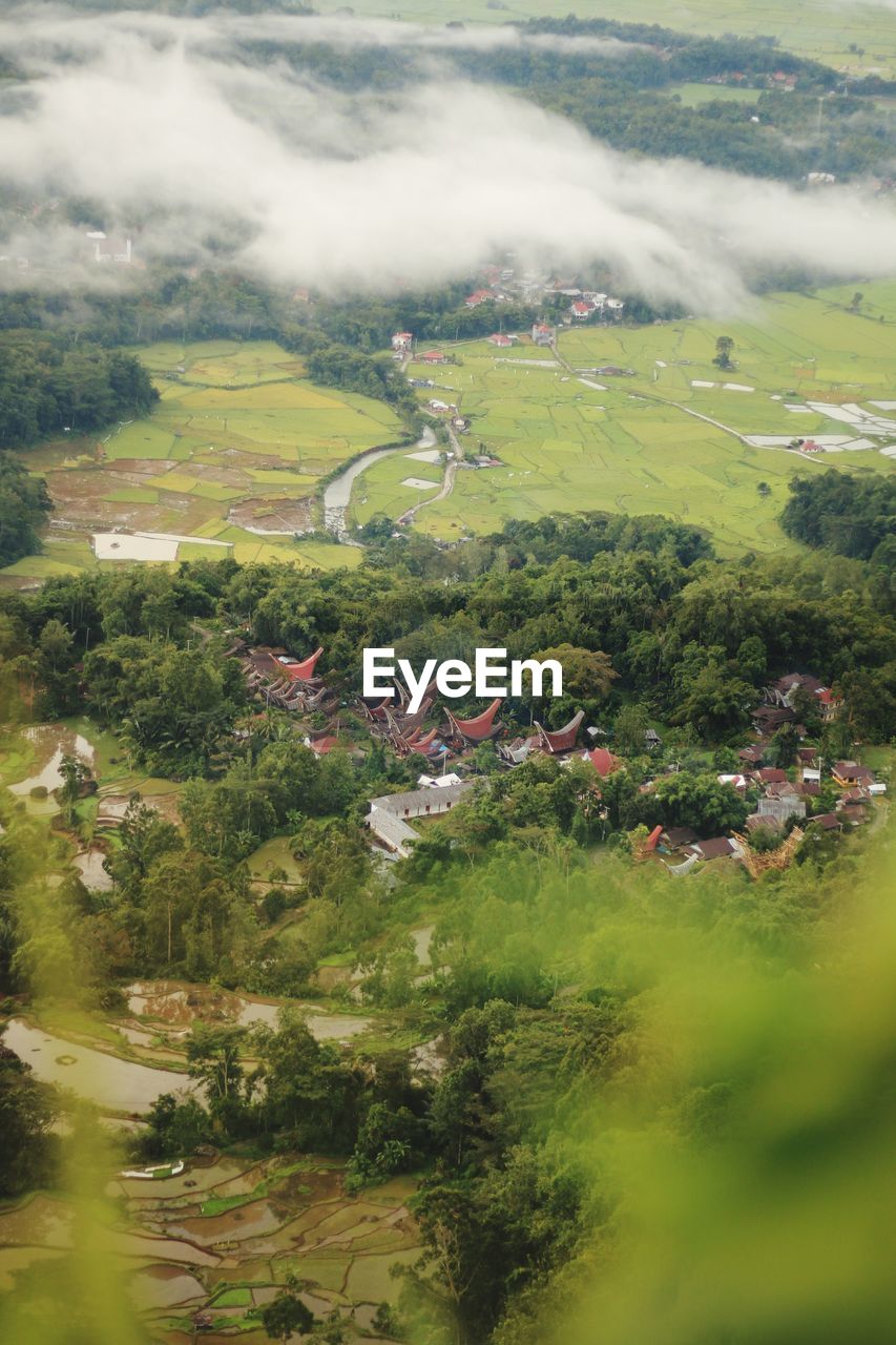 Aerial view of trees and houses on landscape