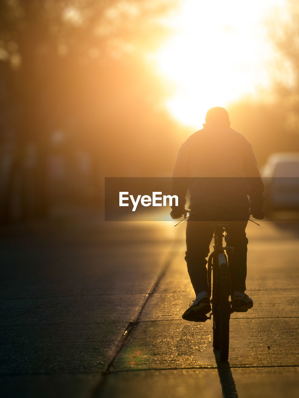 Portrait of man riding bicycle in sunset