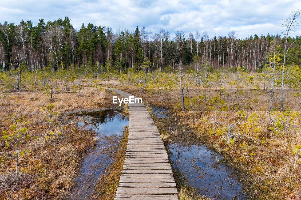 Scenic view of river in forest against sky