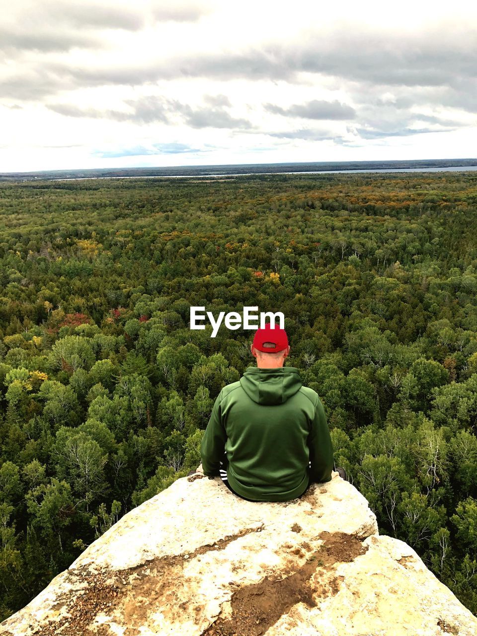 Rear view of man sitting on cliff against forest