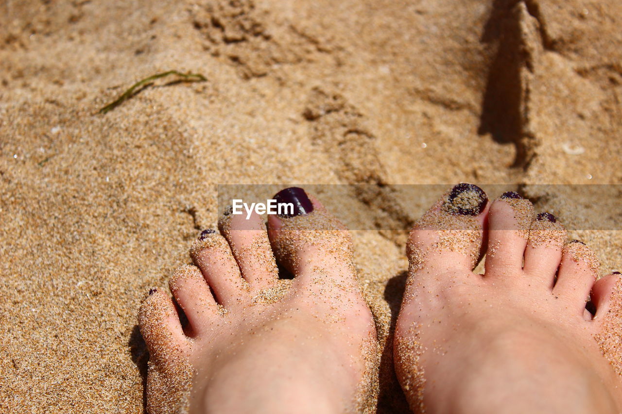 Low section of woman on beach