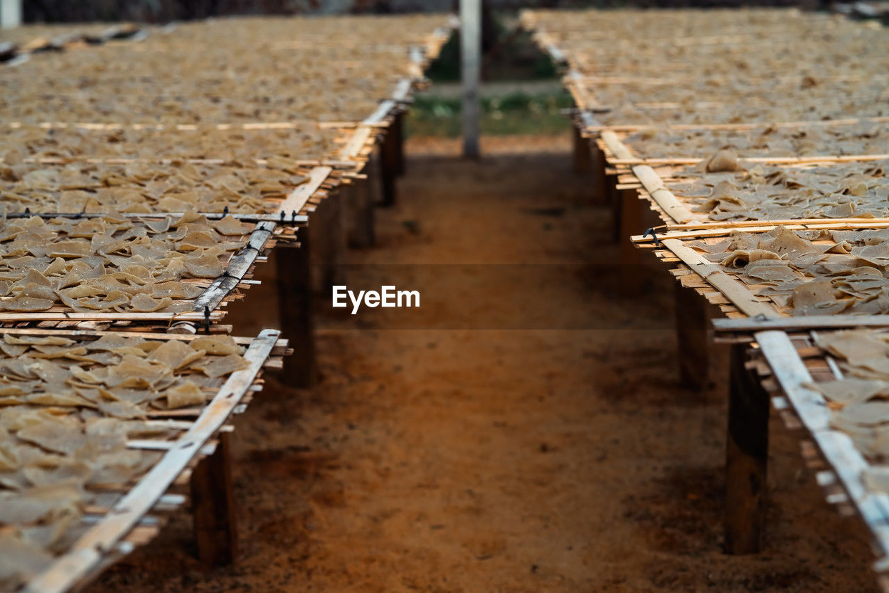 high angle view of wooden footpath