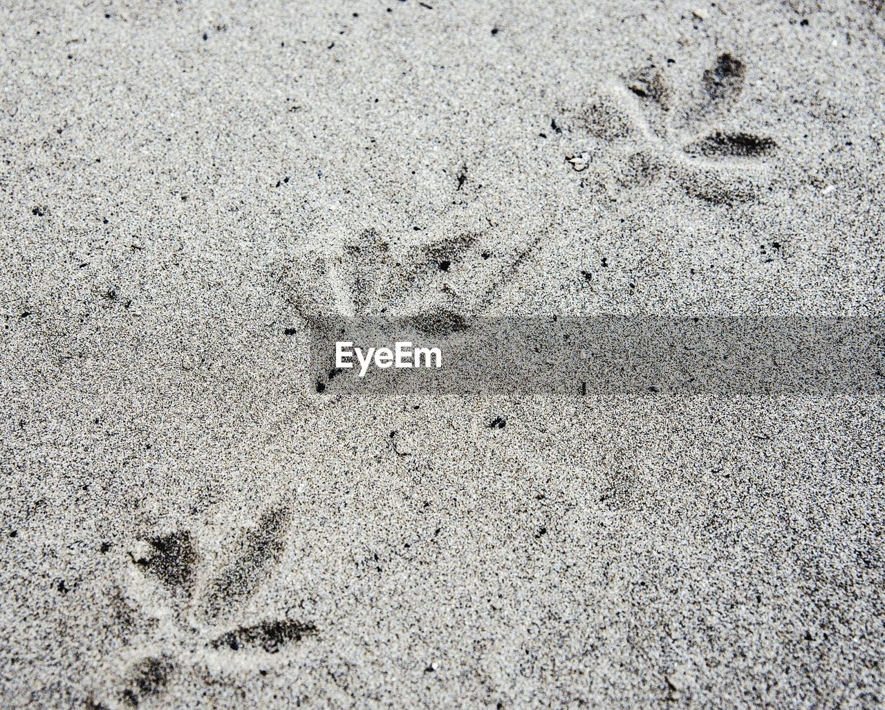 Full frame shot of sand with animal track