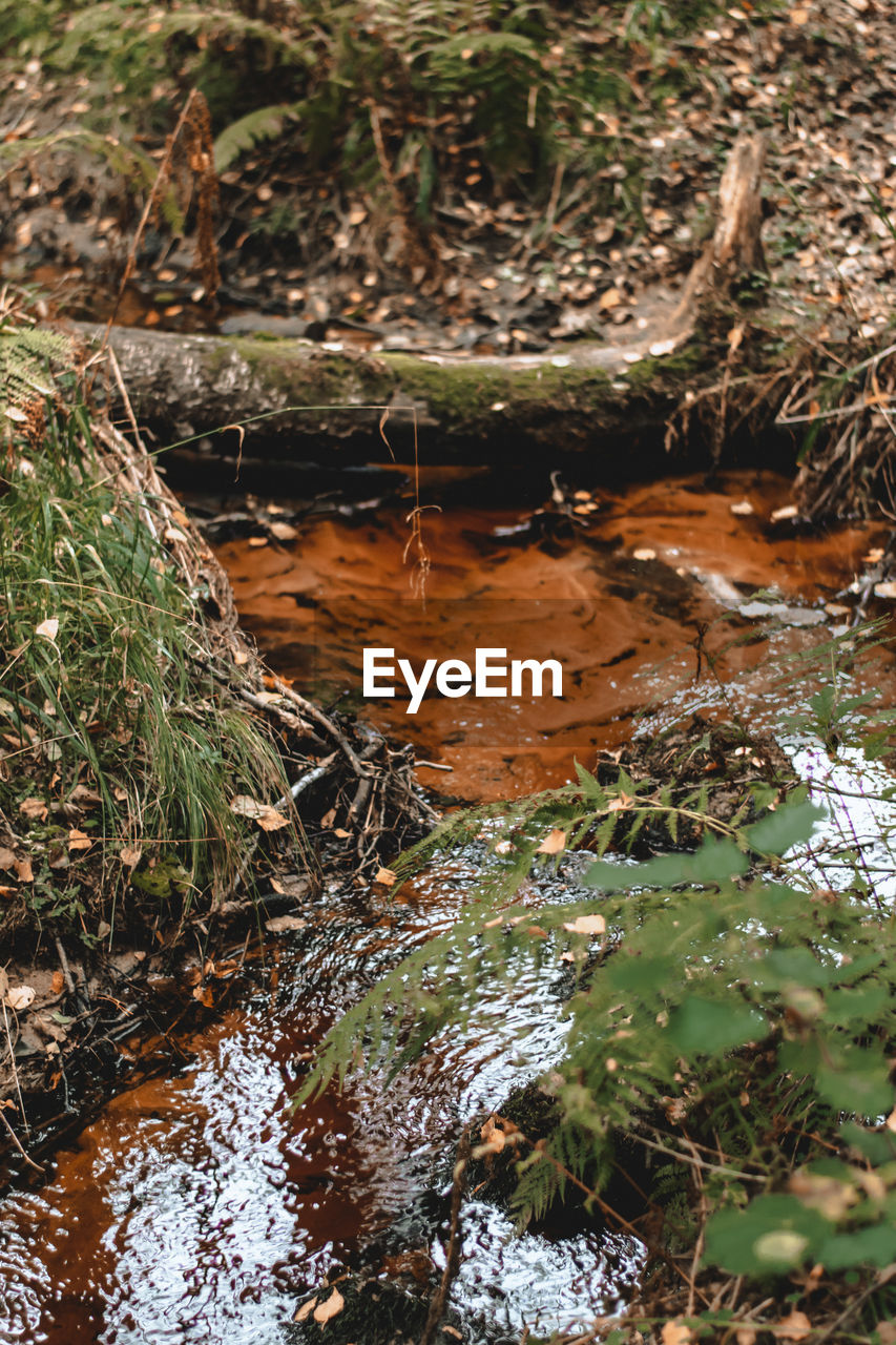 Water flowing through rocks in forest in autumn  with a fallen tree in the background