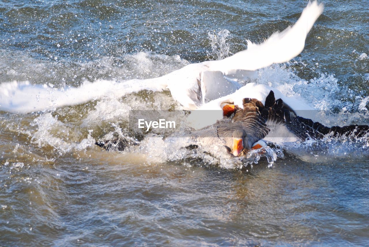 WATER SPLASHING IN SEA